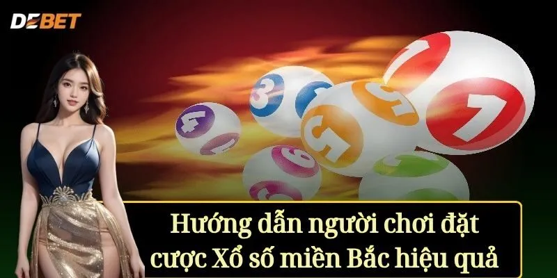 Hướng dẫn người chơi đặt cược Xổ số miền Bắc hiệu quả