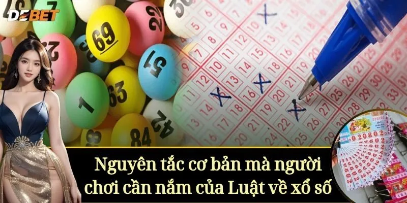 Nguyên tắc cơ bản mà người chơi cần nắm của Luật về xổ số