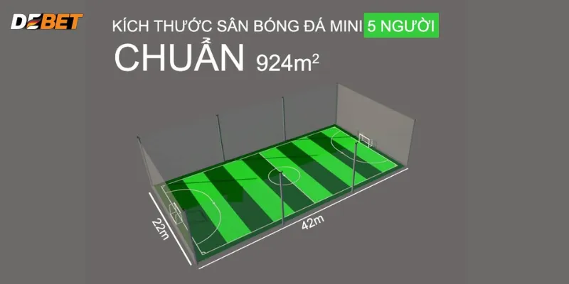 Tiêu chuẩn của kích thước sân bóng 5 người